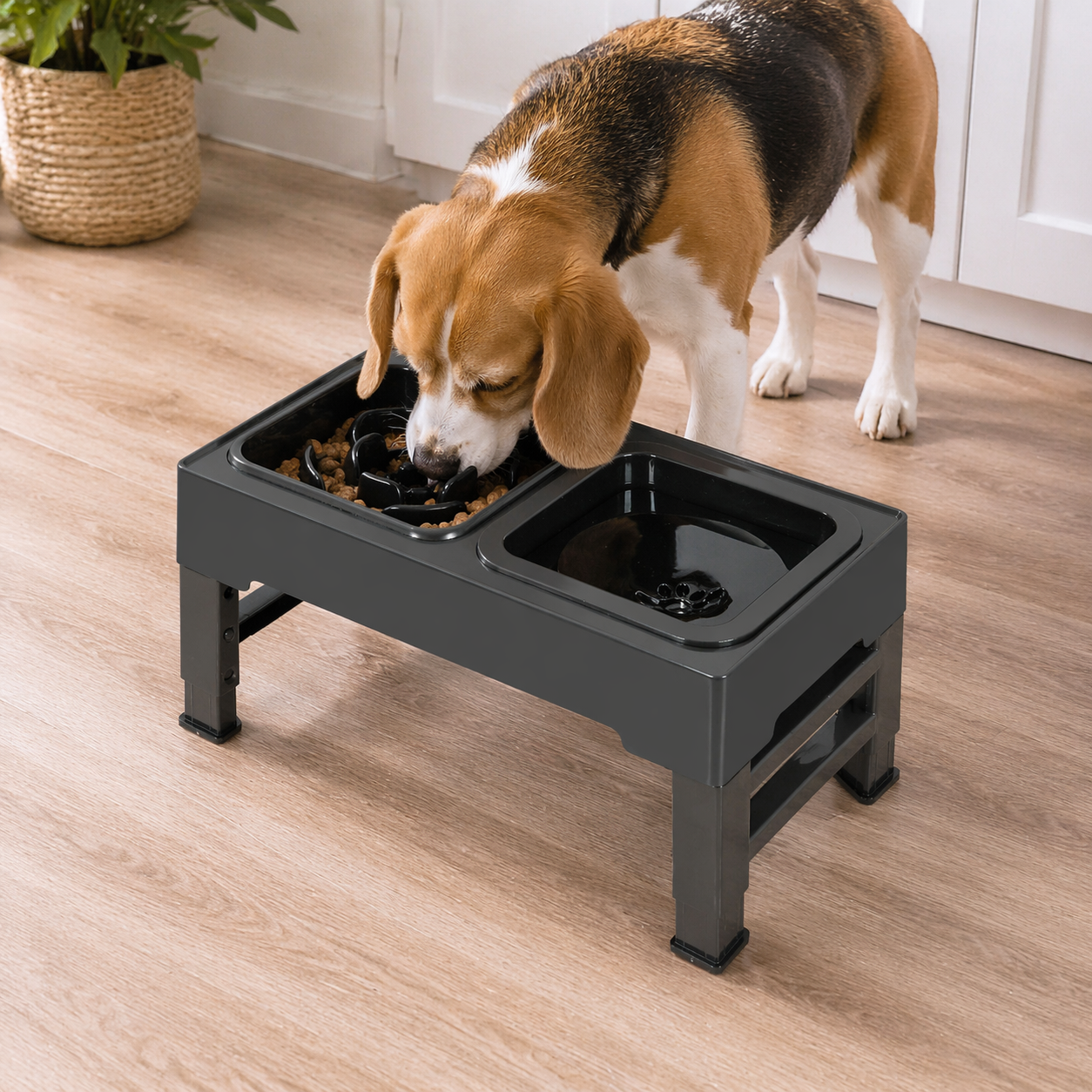 PaWz Elevated Slow Feeder Set
