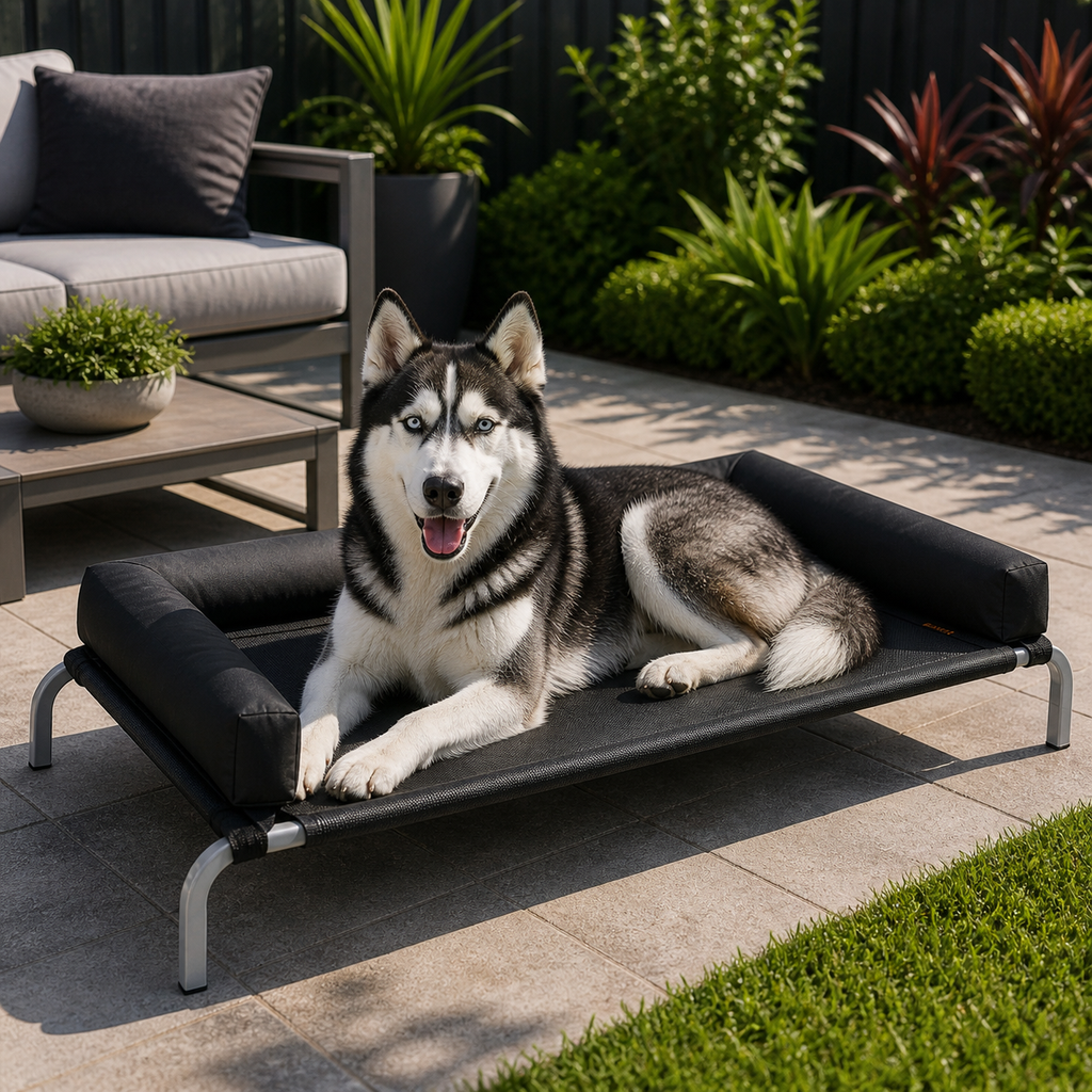 PaWz Elevated Bolster Bed - Black, XL