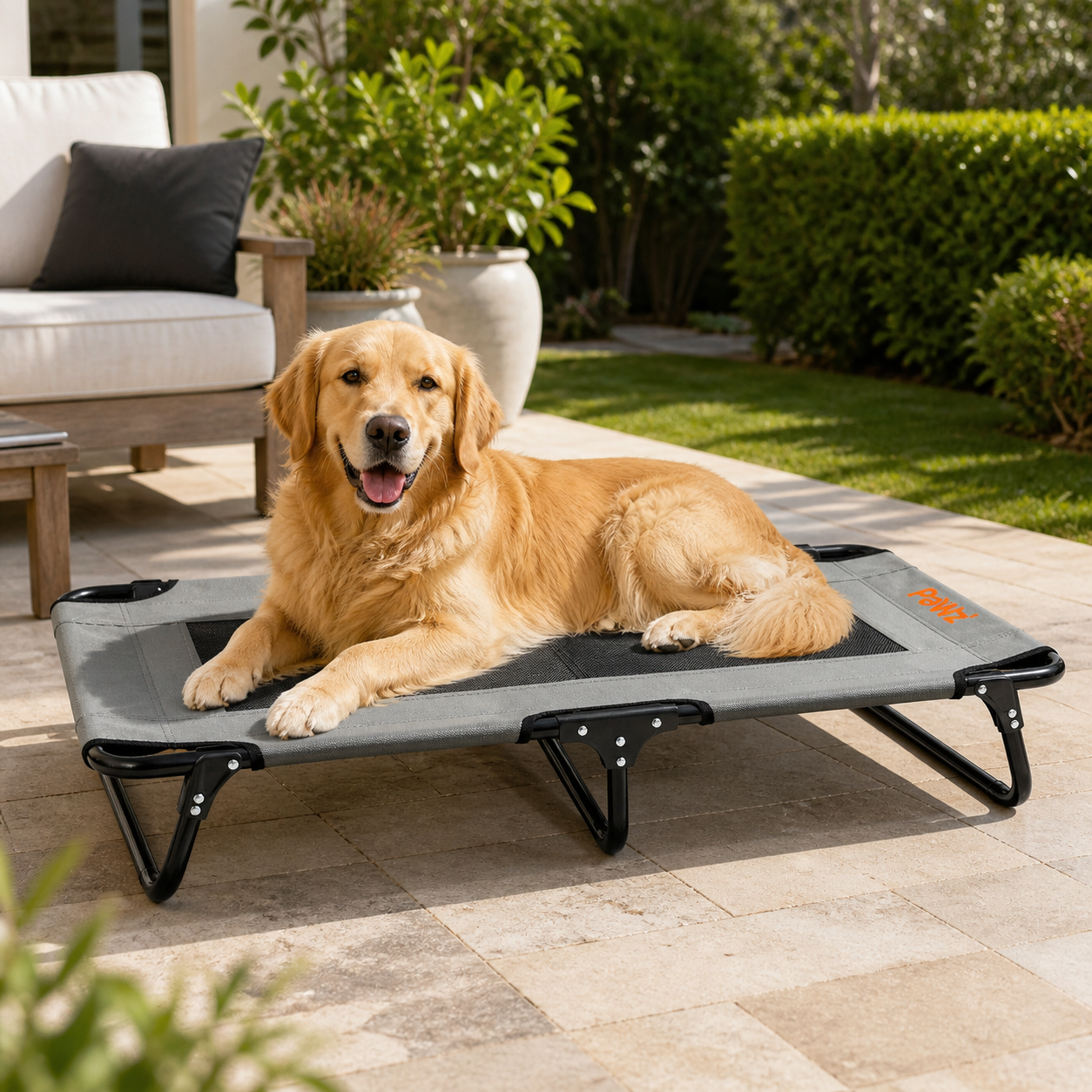 Pawz Raised Trampoline Bed - M