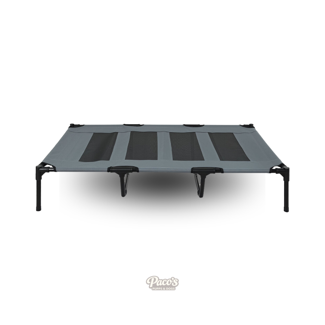 Pawz Elevated Mesh Dog Bed – Black