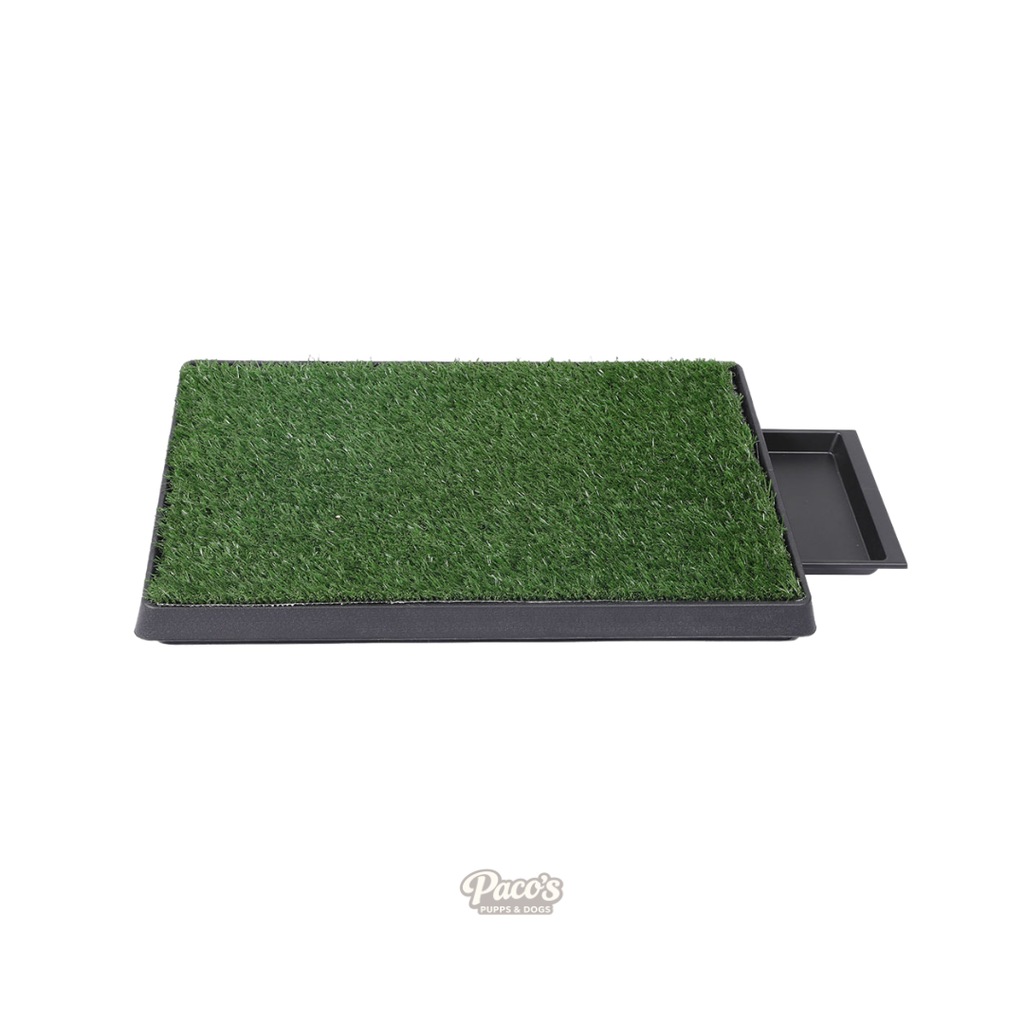 PaWz Indoor Grass Potty Patch
