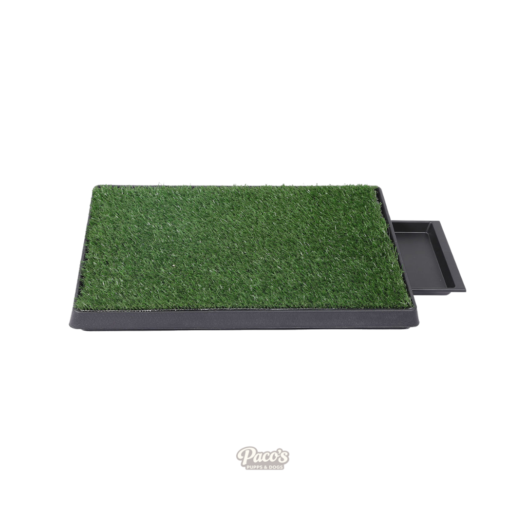 PaWz Indoor Grass Potty Patch