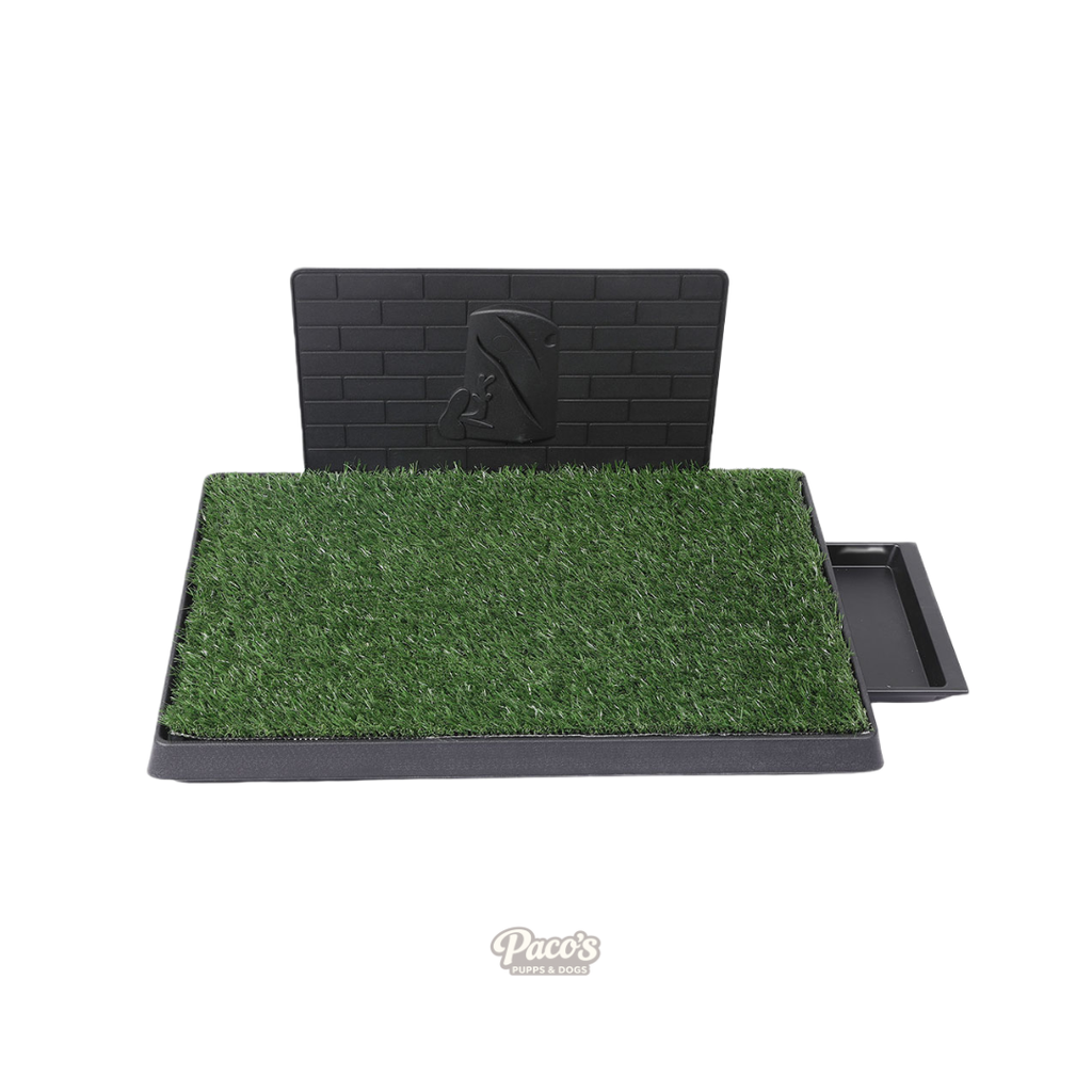 PaWz Indoor Grass Potty Patch - L