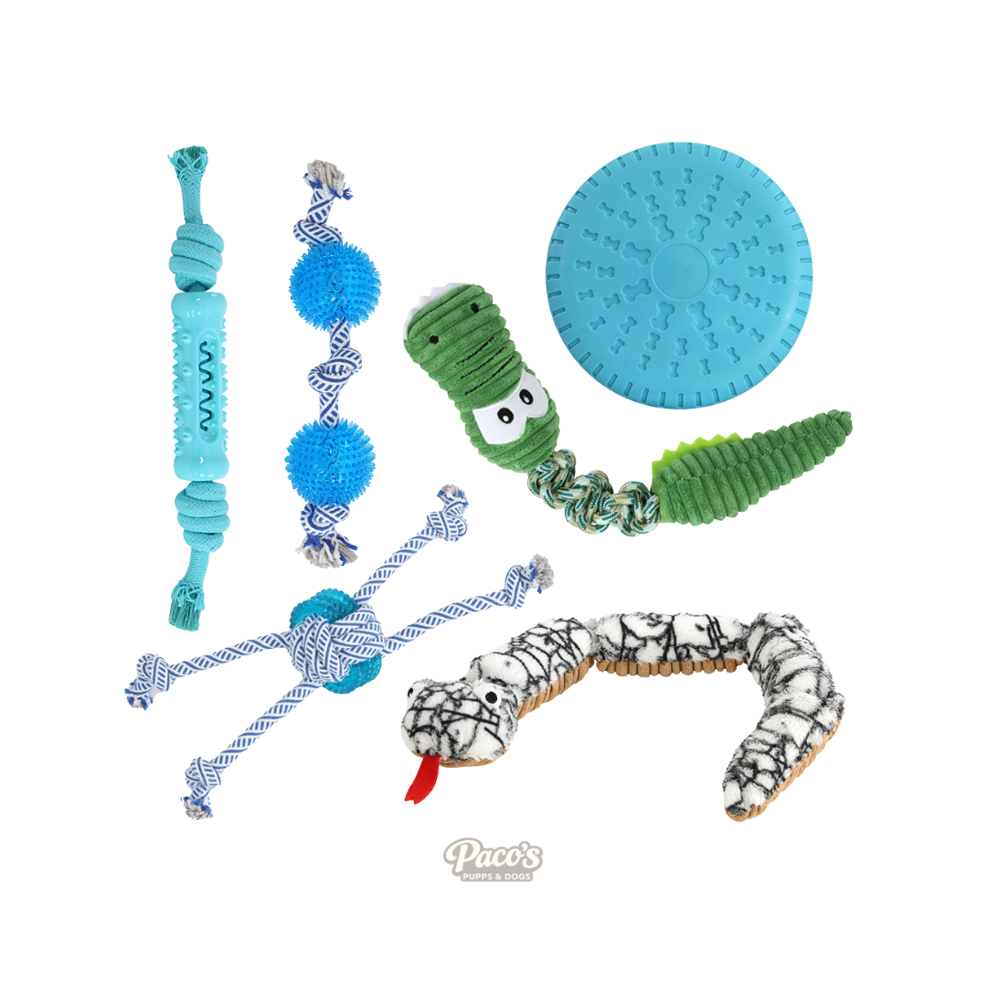 PaWz Dog Toy Bundle - 6 x Toys