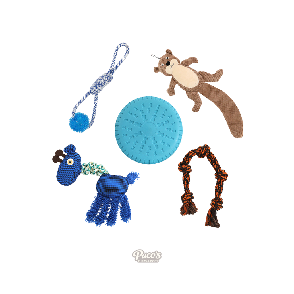 PaWz Dog Toy Bundle - 5 x Toys
