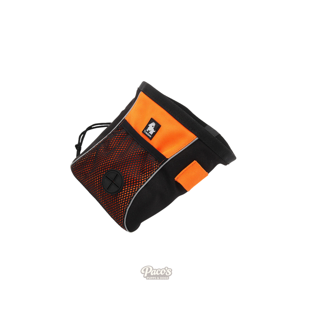 True Love Dog Treat Bag - Orange, M
