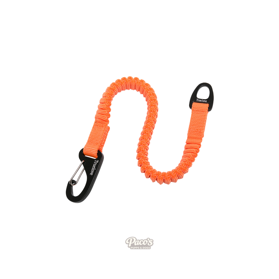 True Love Bungee Leash Extension - Orange, L