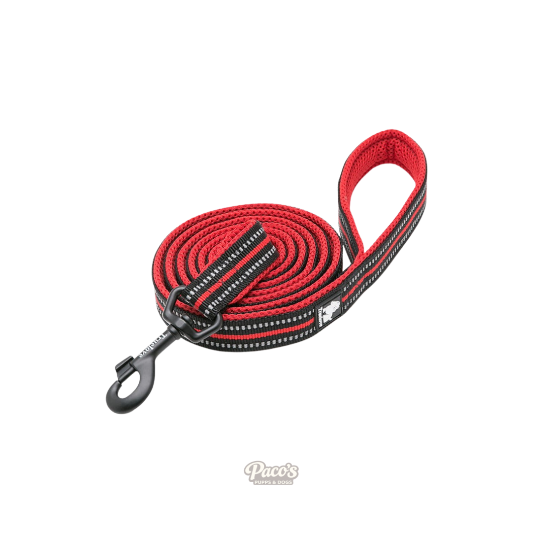 True Love Reflective Pet Leash 2m - Red, M