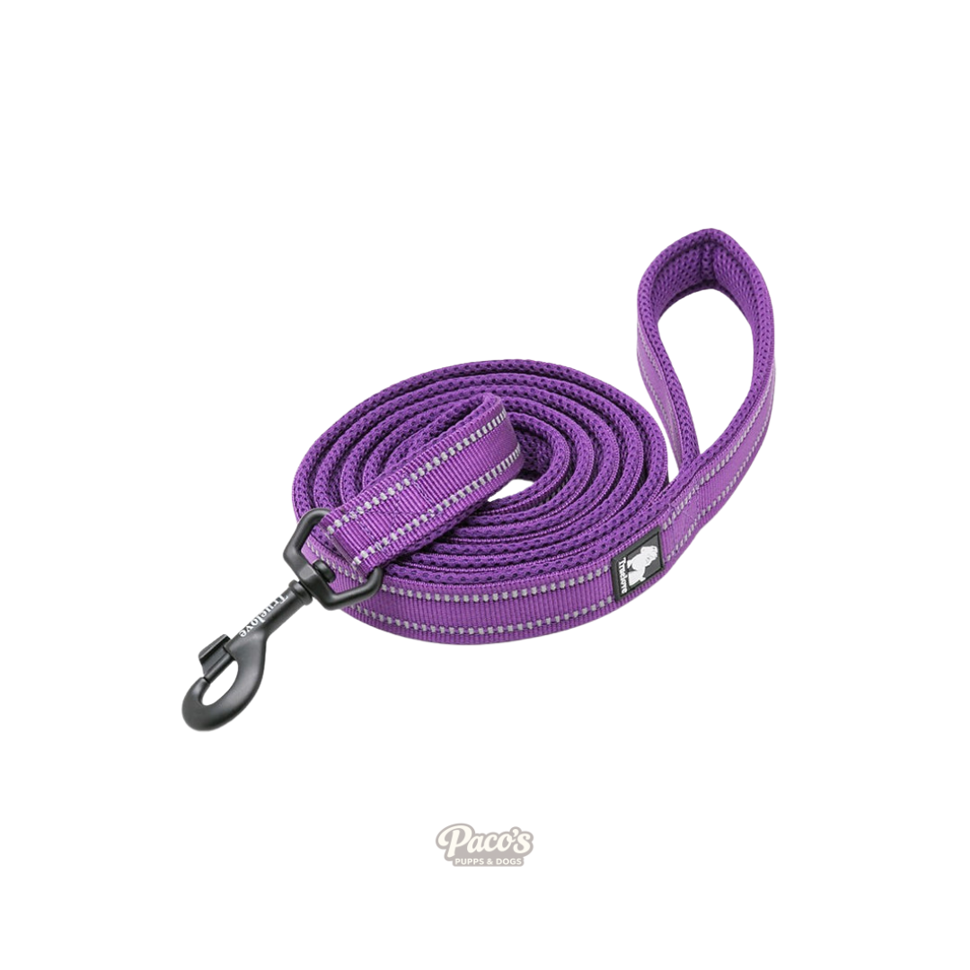 True Love Reflective Pet Leash 2m - Purple, M