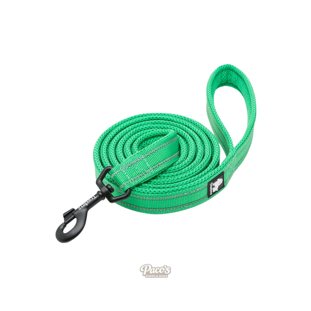 True Love Reflective Pet Leash 2m - Green, M