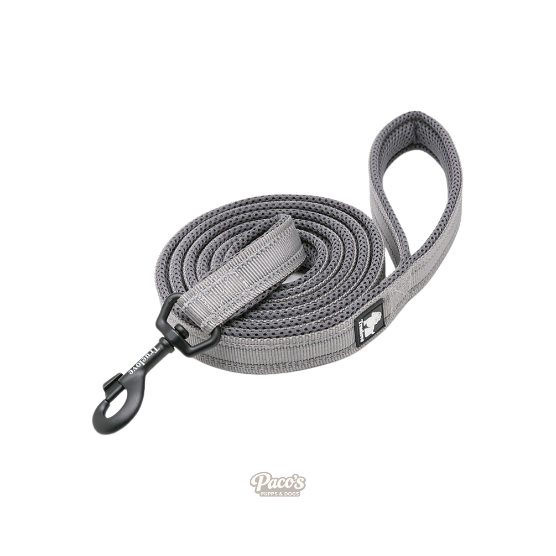 True Love Reflective Pet Leash 2m - Grey, S