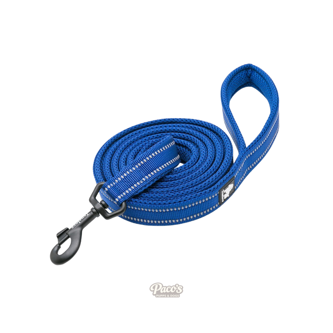 True Love Reflective Pet Leash 2m - Royal Blue, S