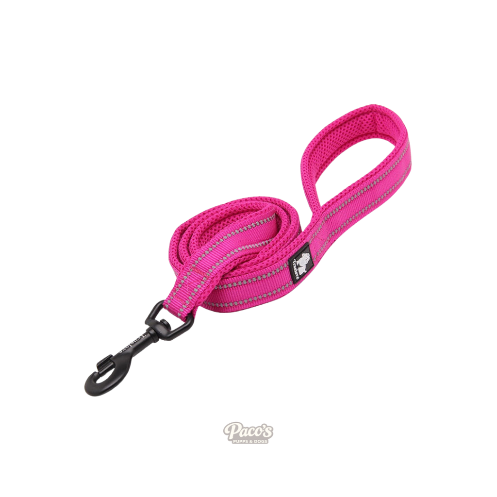 True Love Reflective Pet Leash 2m - Pink, S