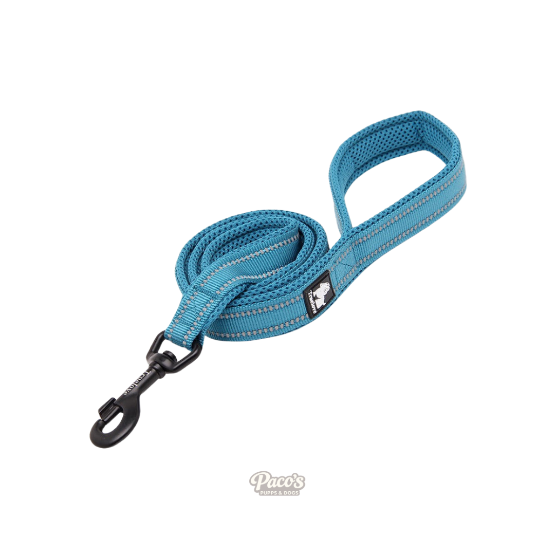 True Love Reflective Pet Leash 2m - Blue, L