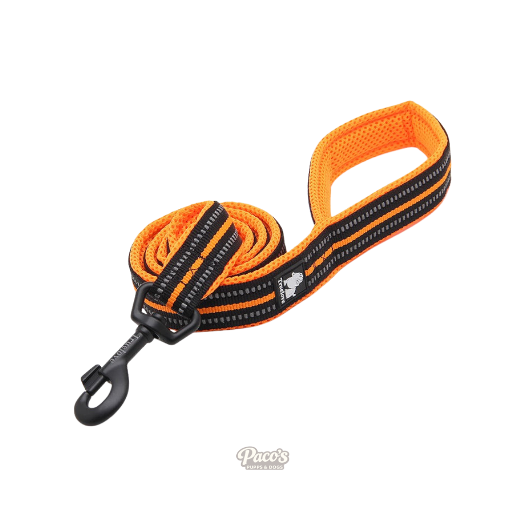 True Love Reflective Pet Leash 2m - Orange, XS