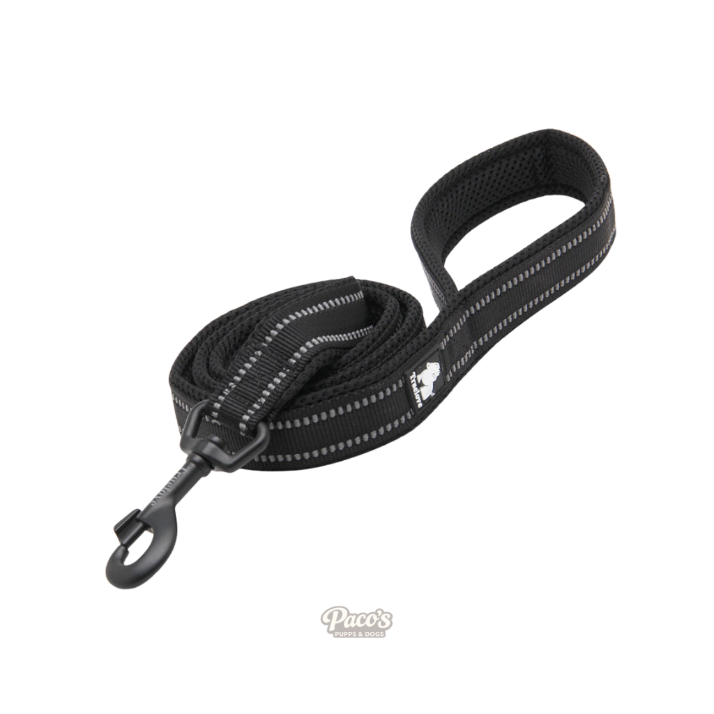 True Love Reflective Pet Leash 2m - Black, L