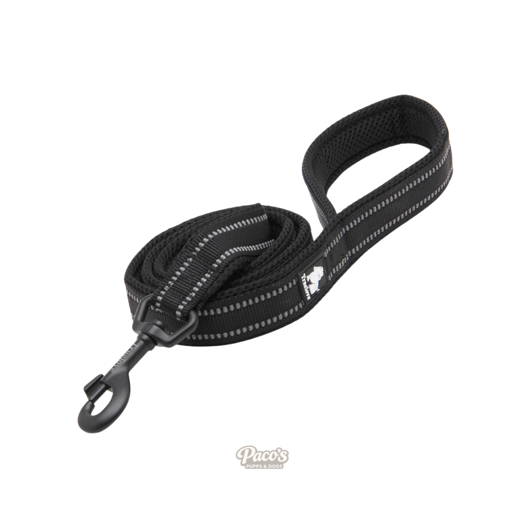 True Love Reflective Pet Leash 2m - Black, M