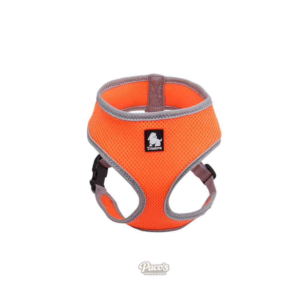 Dog Harness with Steel D Ring - Orange, S