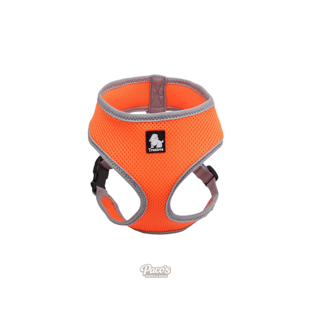 Dog Harness with Steel D Ring - Orange, M