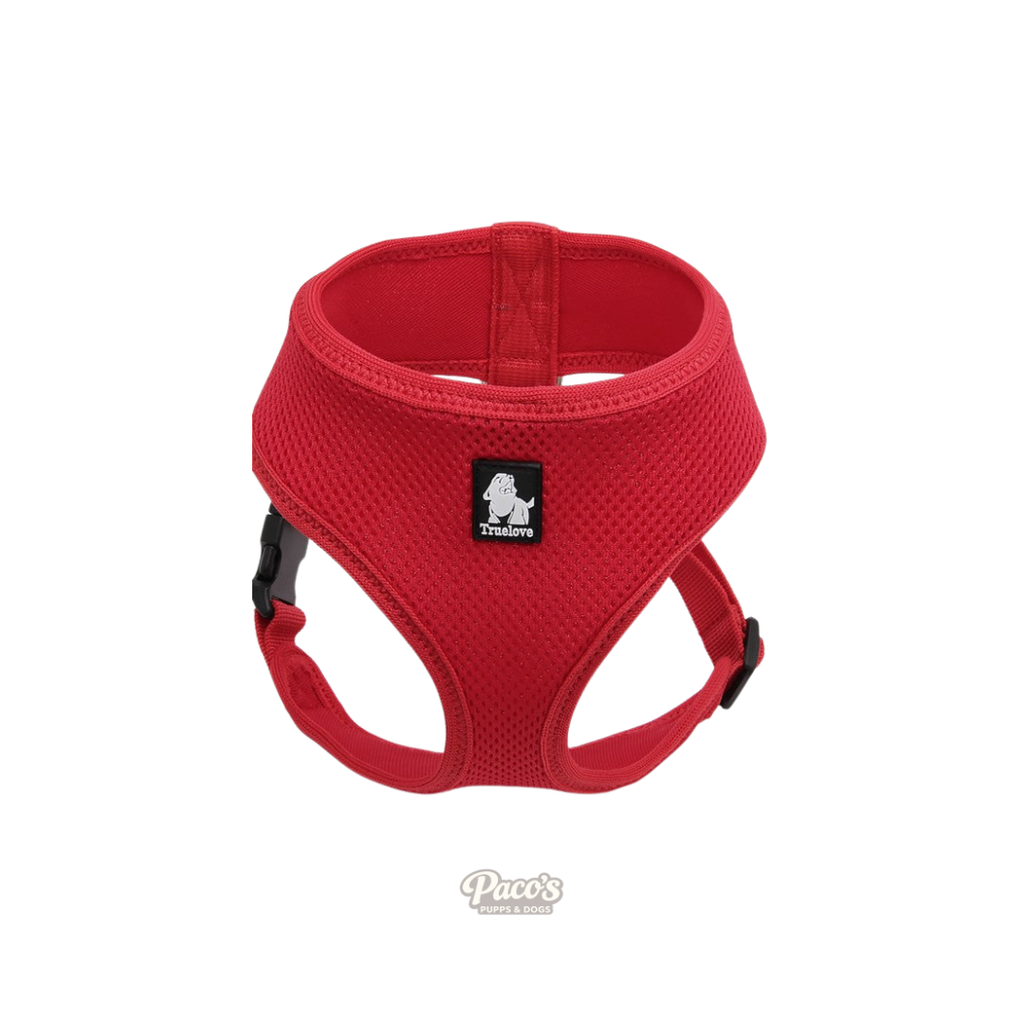 Dog Harness with Steel D Ring - Red, XS