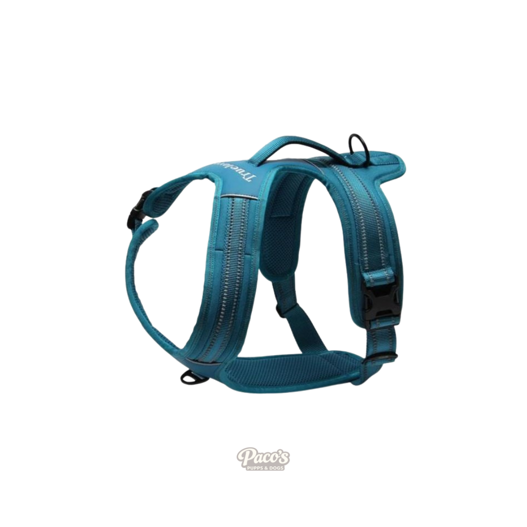 True Love Heavy Duty Sports Dog Harness - Blue, XL