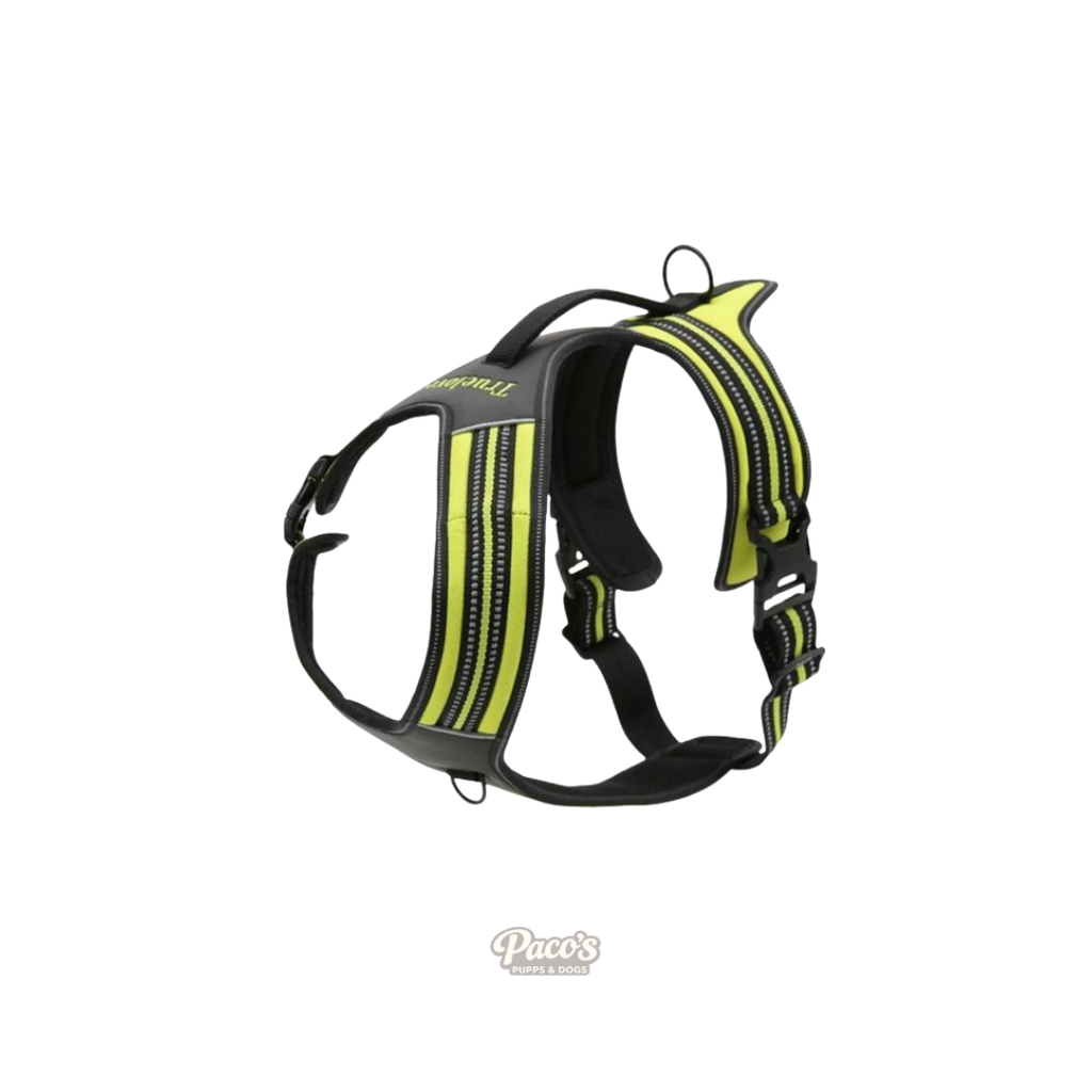 True Love Heavy Duty Sports Dog Harness - Neon Yellow, XS