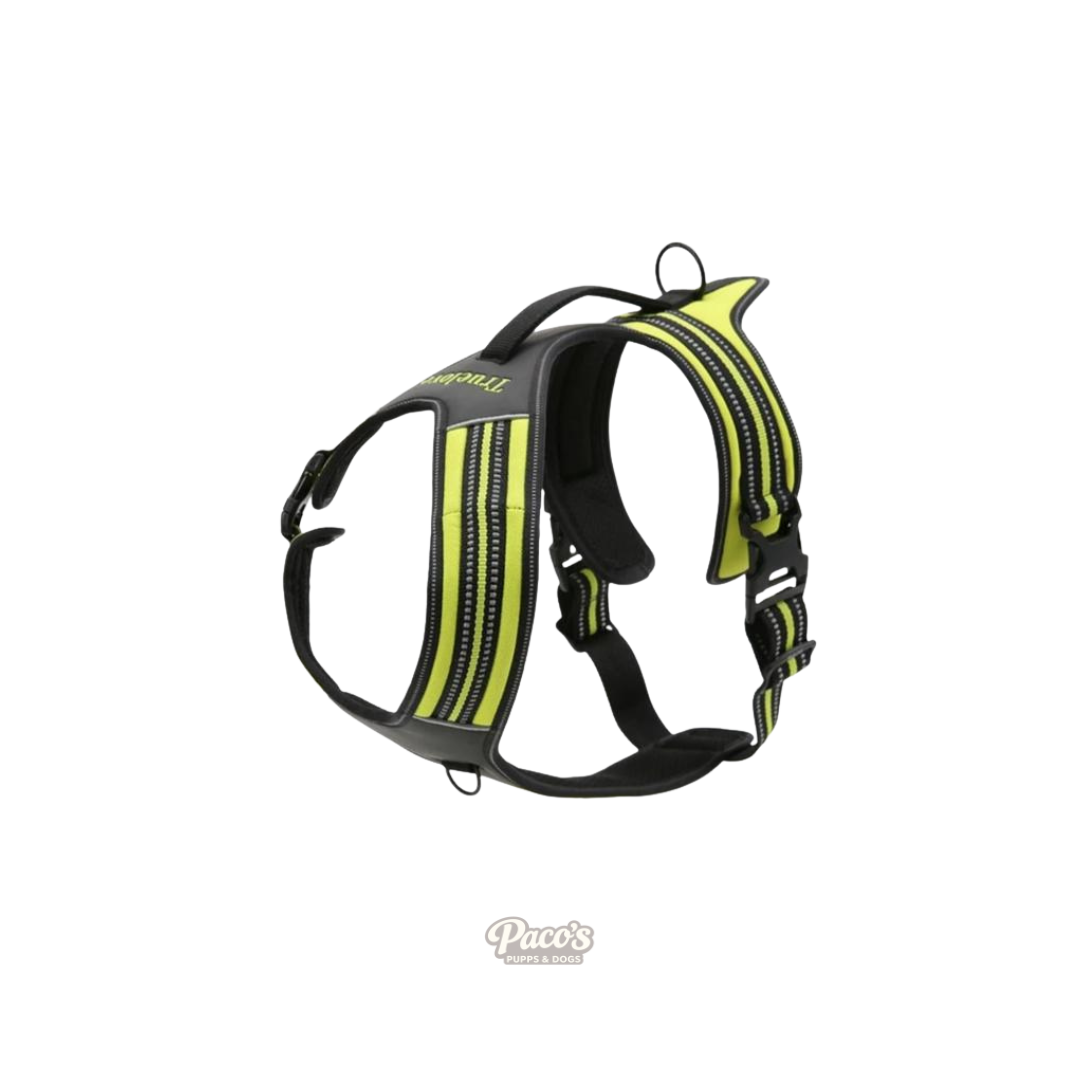 True Love Heavy Duty Sports Dog Harness - Neon Yellow, XS