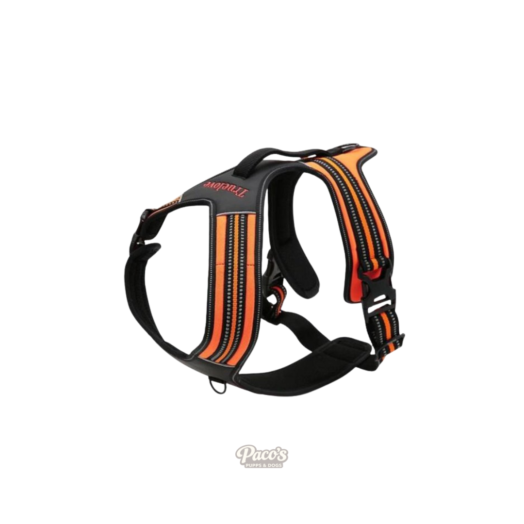True Love Heavy Duty Sports Dog Harness - Orange, S