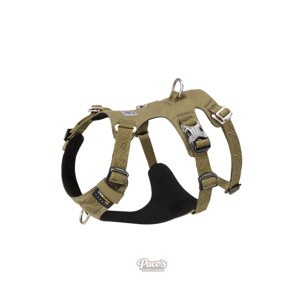 Whinhyepet Dog Harness - Green, 2XS