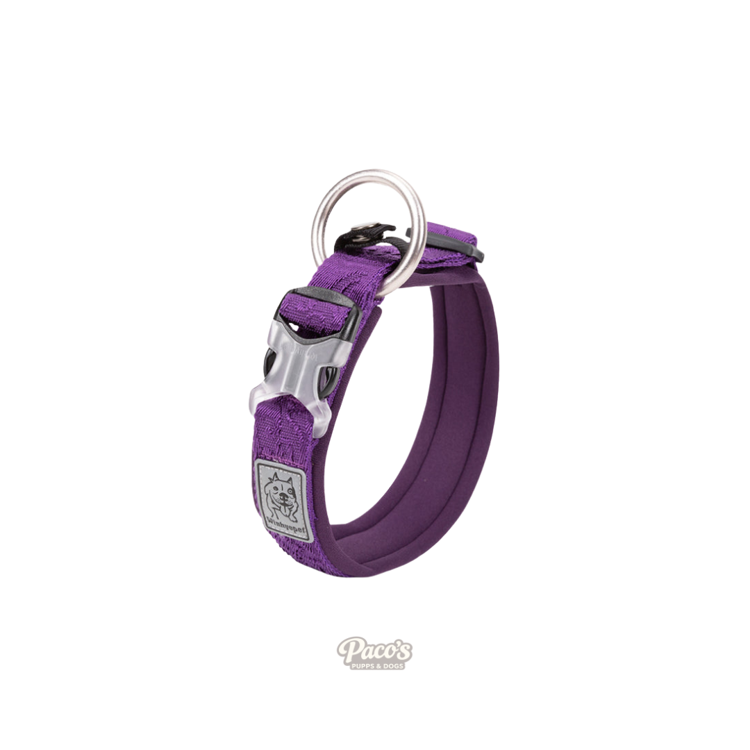 Whinhyepet Collar purple - M