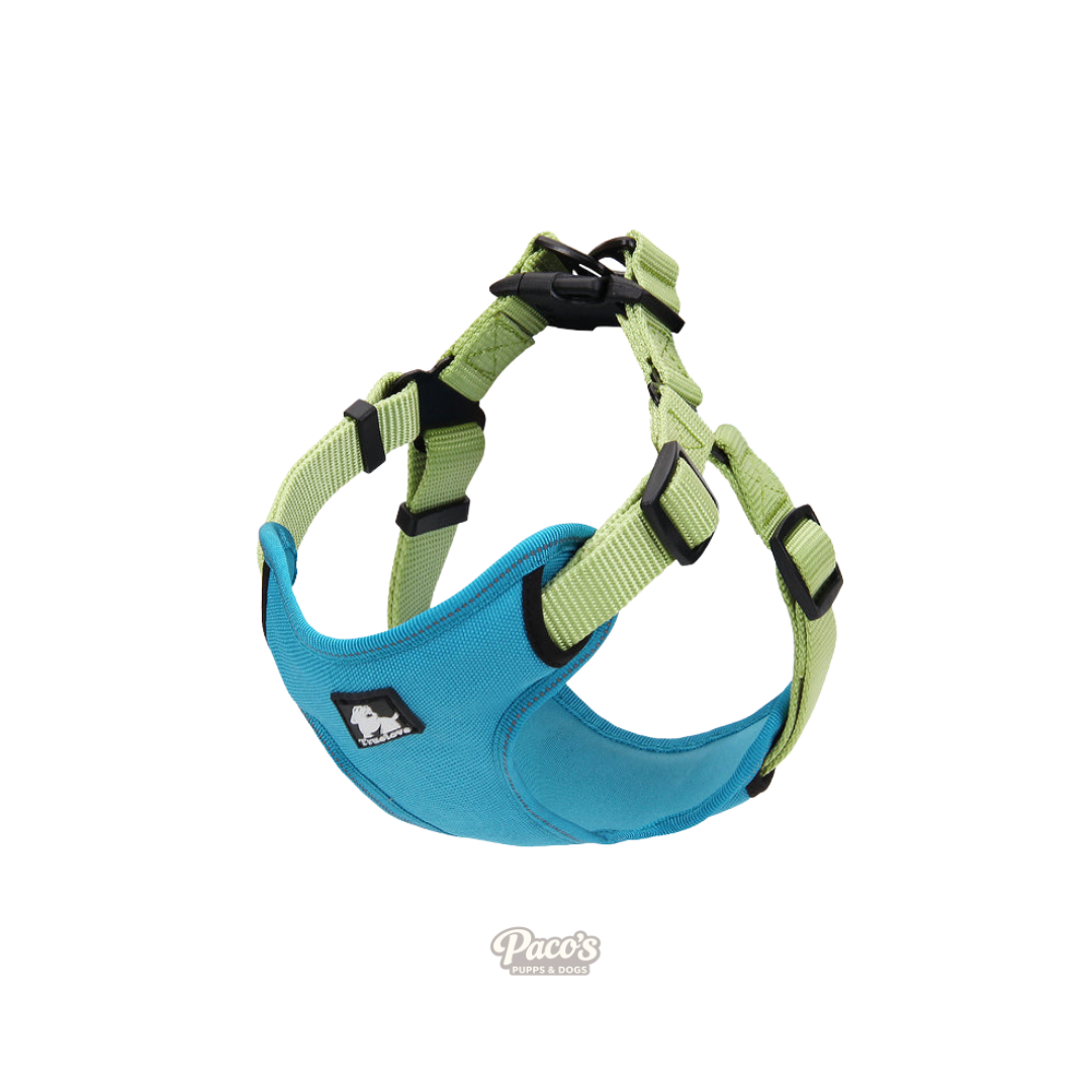 True Love Urban Dog Harness - Green, M