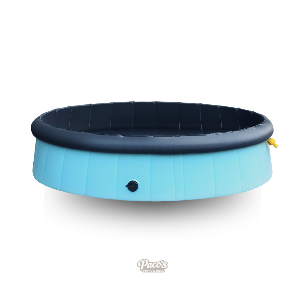 Pawz Folding Swimming Pool - XL