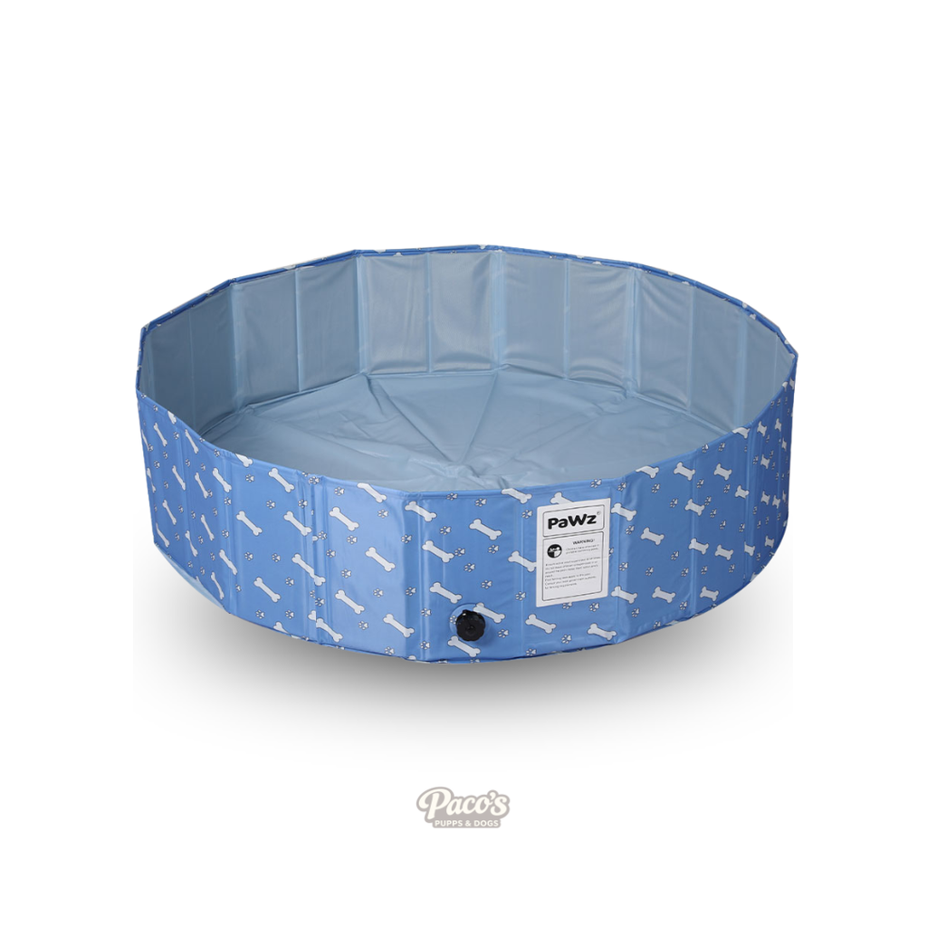 PaWz Bones Swimming Pool - L