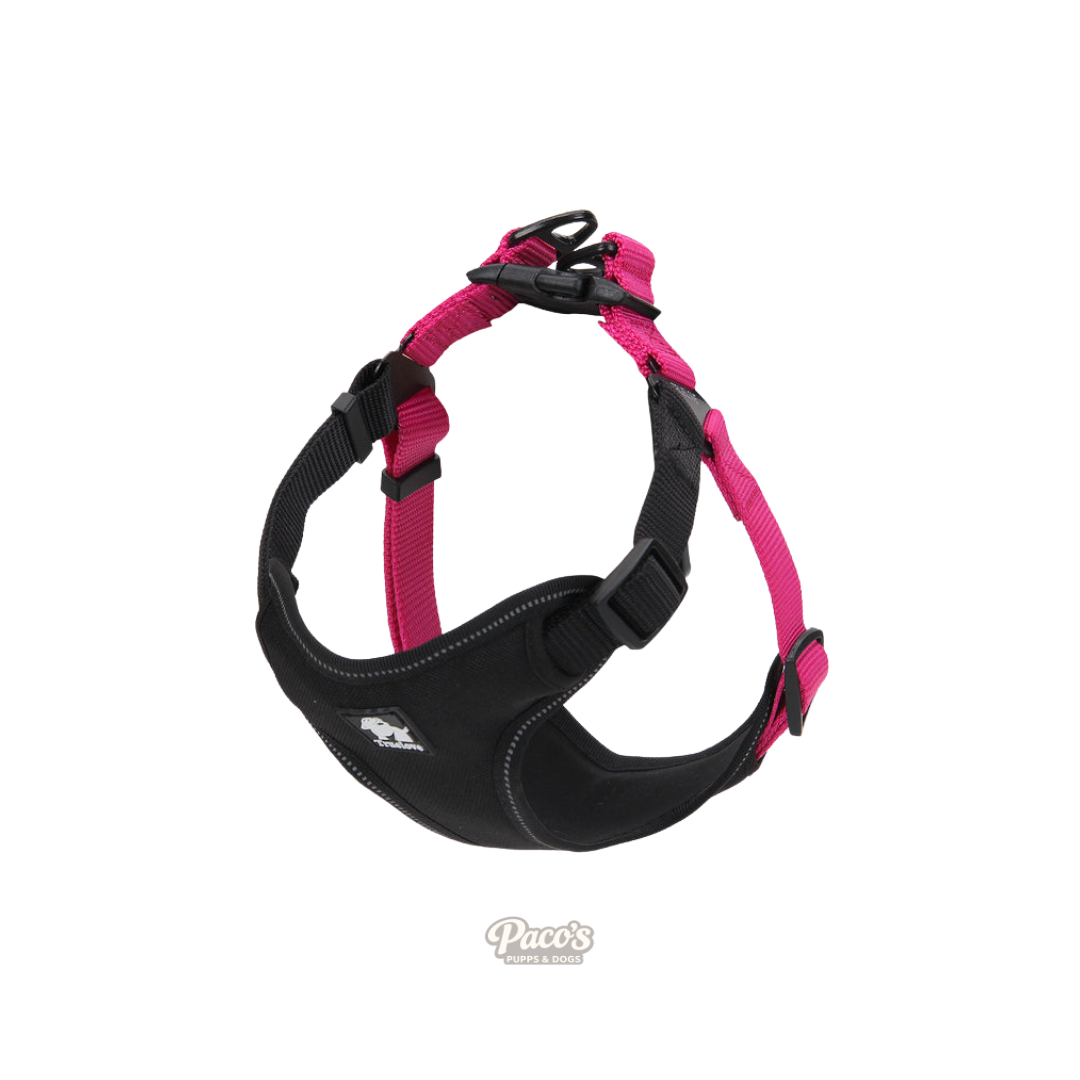 True Love Urban Dog Harness - Pink, M