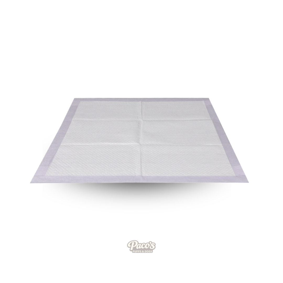 PaWz Puppy Training Pads – 100pk