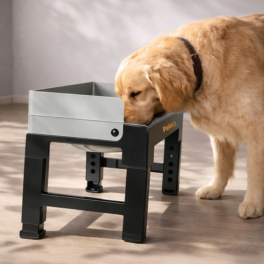Pawz Elevated Dog Bowls Pet Feeder 6 Height Adjustable Raised Food Water Large-2029334098807492614