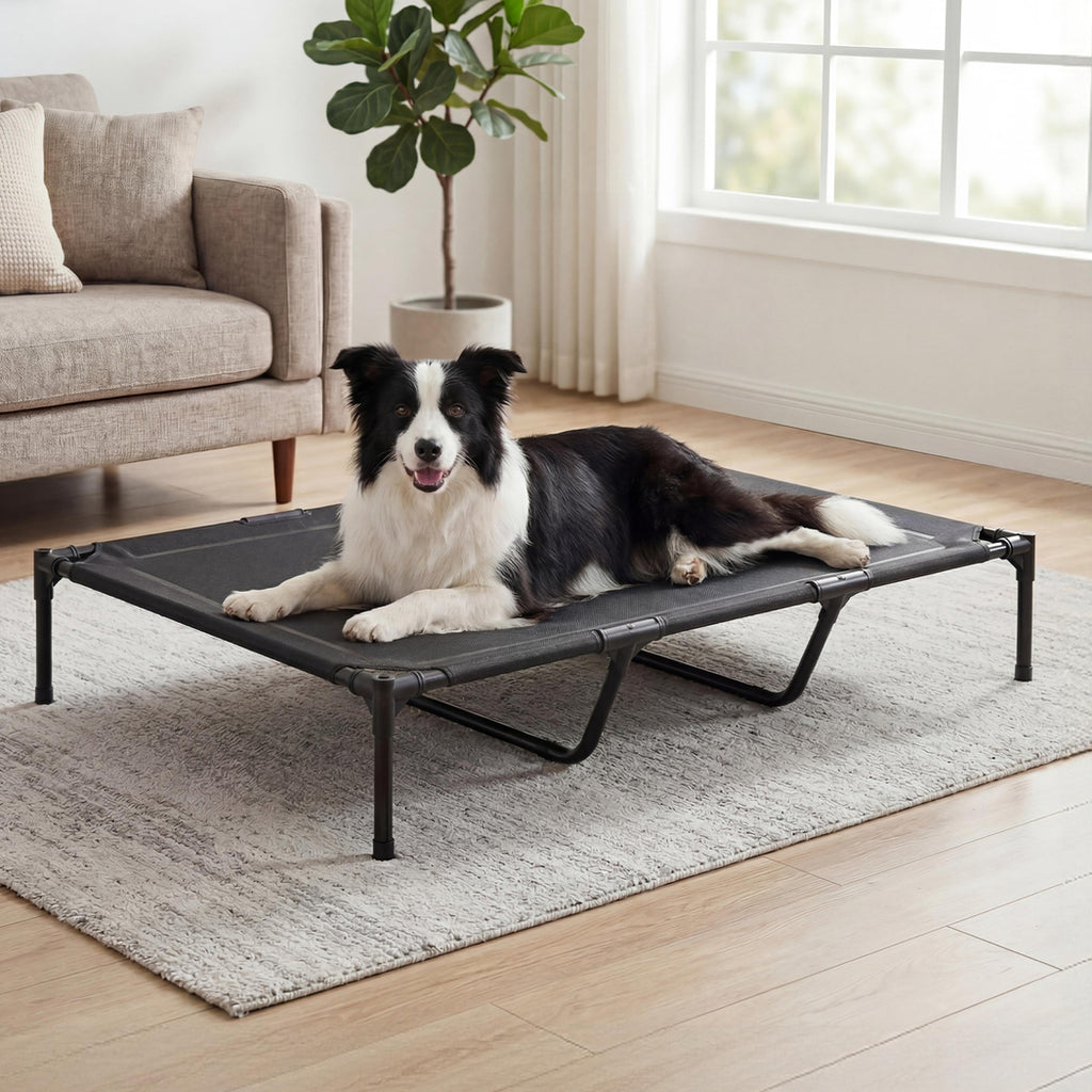 Pawz Elevated Dog Bed Heavy Duty Portable Cot  Waterproof Pet Raised Bed XL Size-2039479517520728071