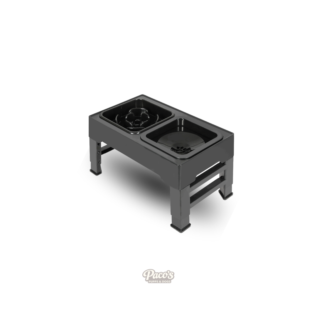 PaWz Elevated Slow Feeder Set