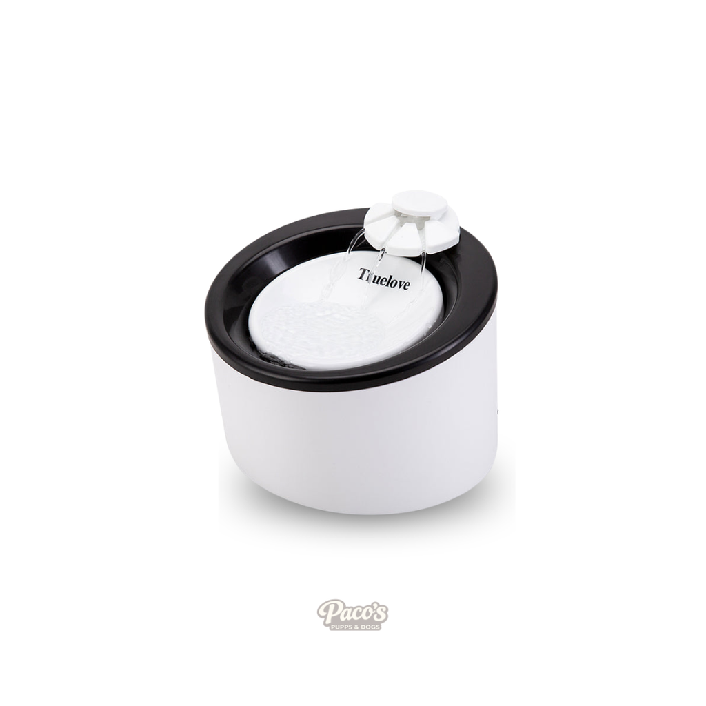 TrueLove Automatic Water Dispenser