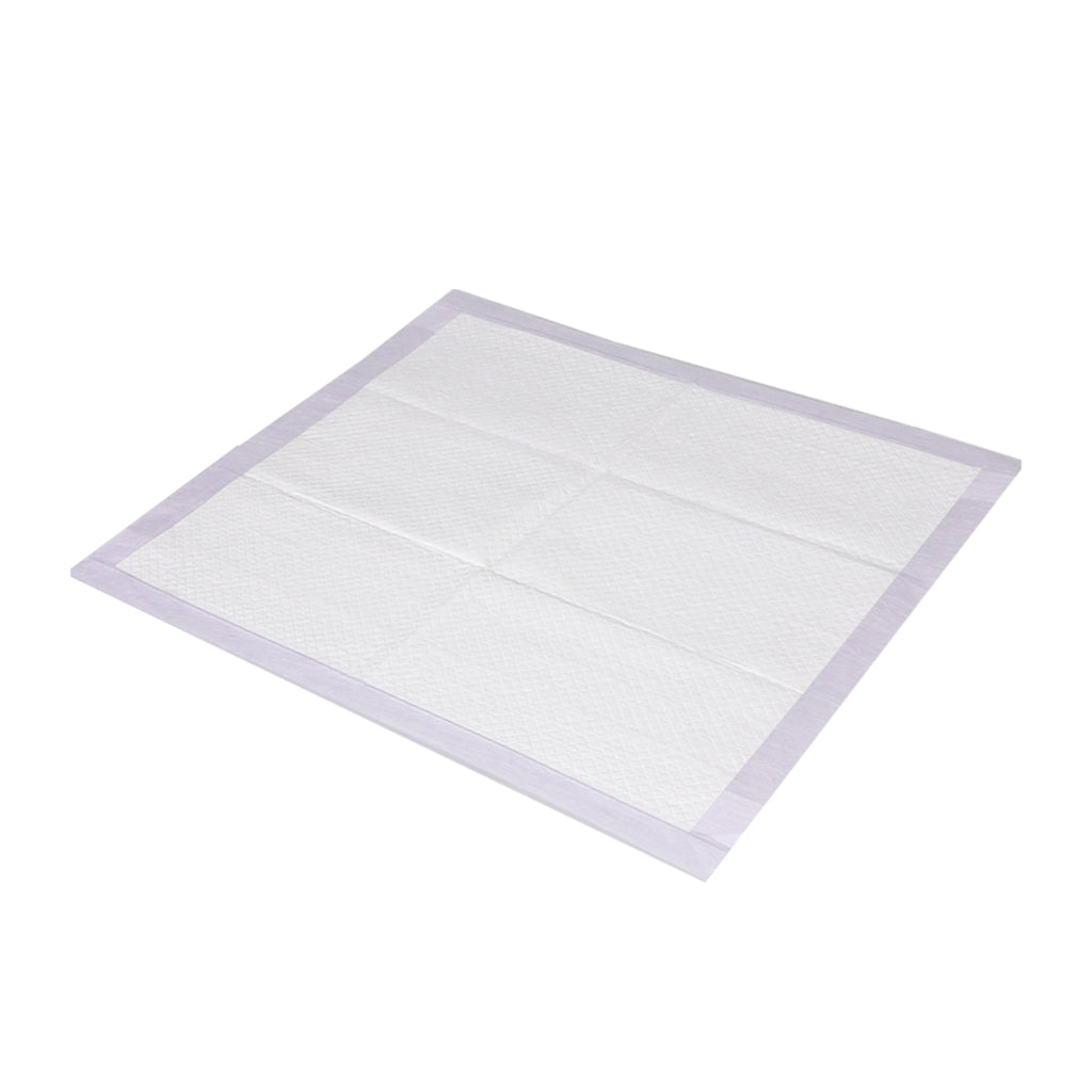 PaWz 100x Pet Dog Toilet Training Pad-2006732998258593792