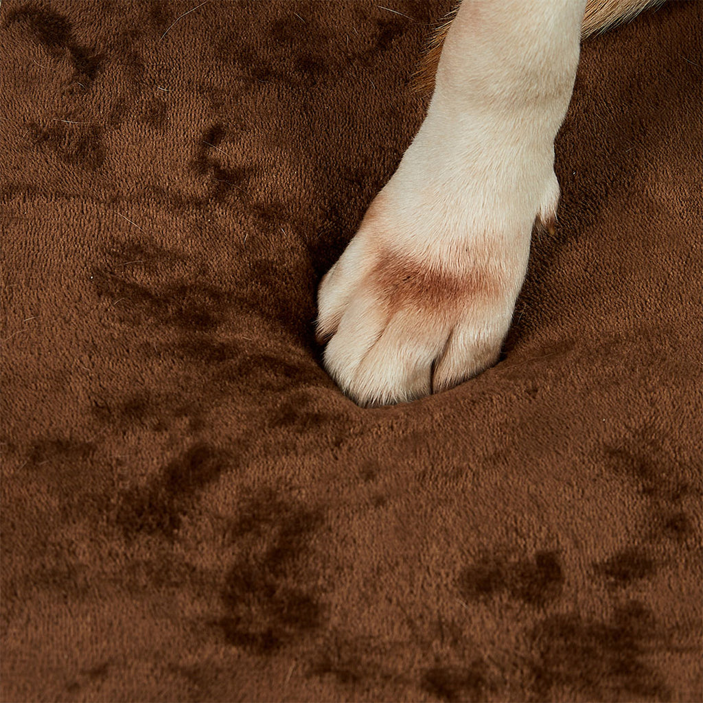 Pawz Orthopedic Dog Bed XL Coffee-2018816820357763075