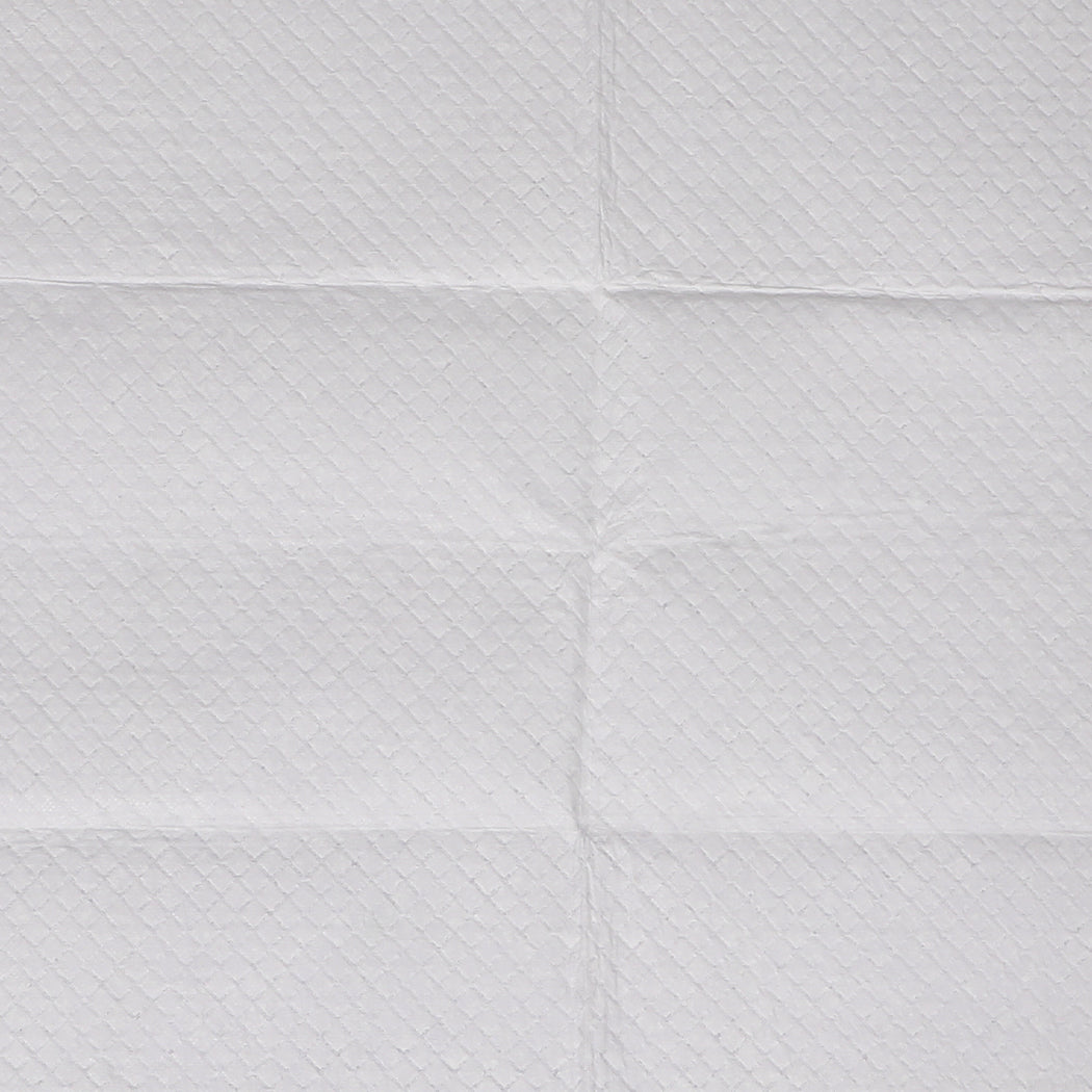 PaWz 100x Pet Dog Toilet Training Pad-2006732998258593797